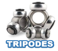Tripodes